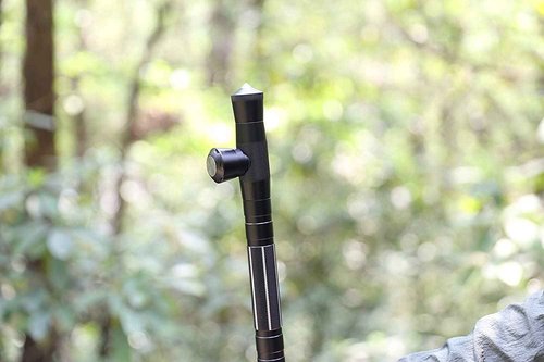 aiGear Premium Walking Hiking Stick and Ext Section