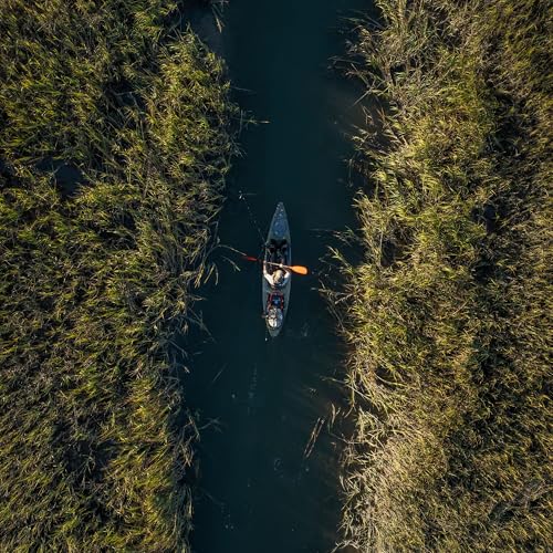 Wilderness Systems Tarpon 140 - Sit on Top Fishing Kayak - Premium Angler Kayak - Adjustable Premium Seat - 14 ft - Mesa Camo