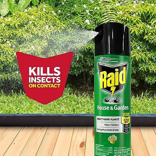Raid House and Garden Insect Killer Insecticide Aerosol Spray - 11 Oz. (Pack of 12)