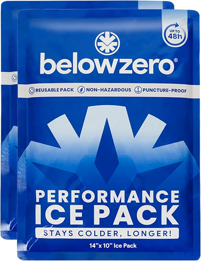 Below Zero Prefilled Reusable Ice Packs for Coolers | Long Lasting Freezer Ice Blocks for Camping, Lunch Bags & More | 48 ...