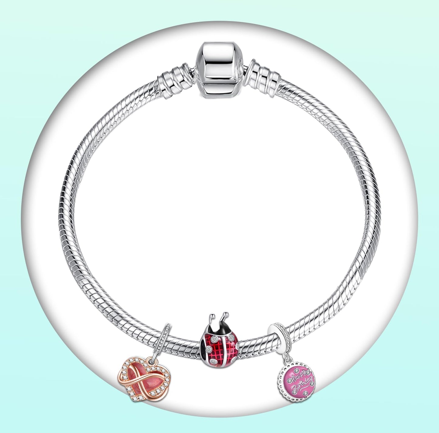 Annmors 925 Sterling Silver Charms fit Bracelets Necklaces Happy Birthday Ladybird Infinity Dangle Beads with 5A Cubic Zirconia