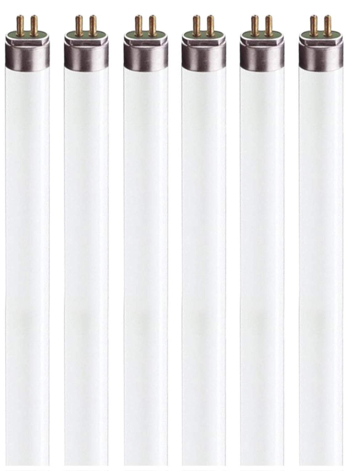 Circle (6 Pack) F13T5/WW - T5 Fluorescent 3000K Warm White - 21" Linear - 13 Watt T5 - Under The Counter Light Bulbs