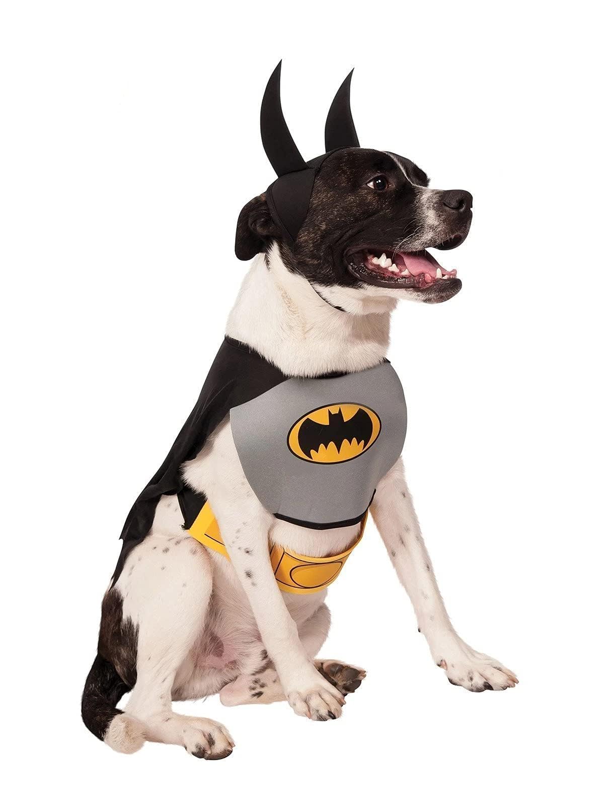DC Comics Superheroes: Batman Pet Costume for Dogs or Cats by Rubies, Large