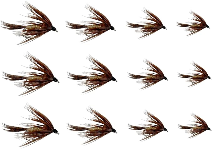 Feeder Creek Fly Fishing Flies 12pc March Brown Spider Nymph Flies | Flies for Fly Fishing | 4 Size Fly Fishing Assortment...