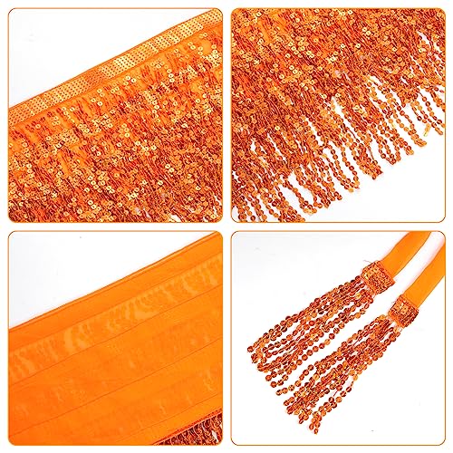 Belly Dance Hip Scarf Sequin Tassel Skirt Wrap Sparkly Rave Costume for Women