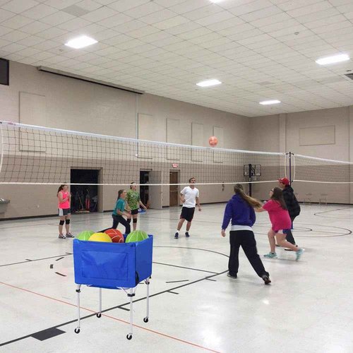 Coolcapis Volleyball Ball cart with Wheels Portable Basket Storage Cart 37in x 26in x 26in Garage Sports Equipment Organizer Volleyball Basketball Soccer Toy Blue