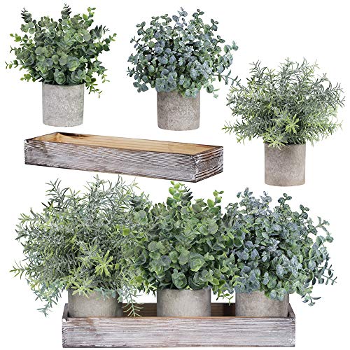 Winlyn Set of 3 Mini Potted Artificial Eucalyptus Plants Faux Rosemary Plant Assortment with Wood Planter Box for Indoor O...