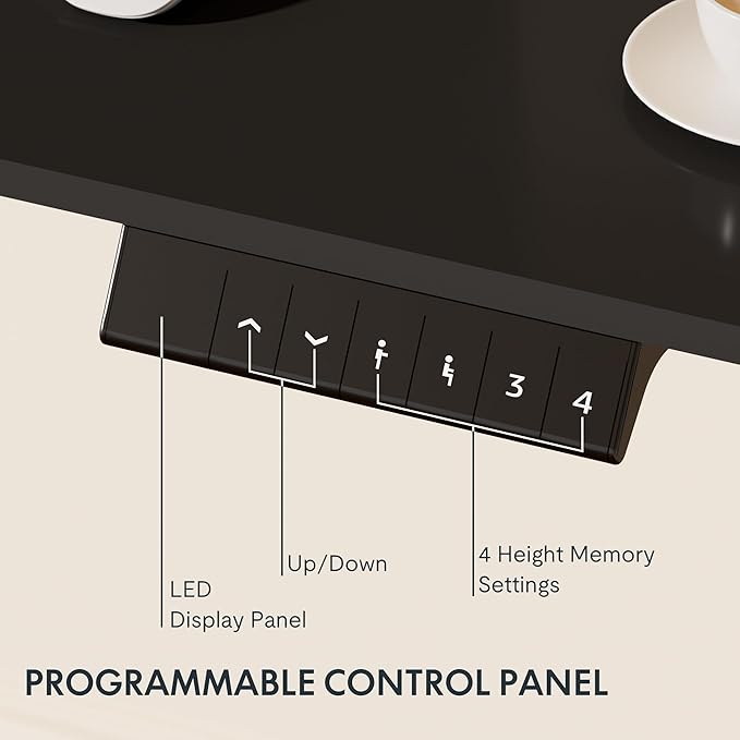 FLEXISPOT EN1 One-Piece Standing Desk 48 x 24 Inches Electric Stand Up Desk for Home Office (Black Frame + 48" Black Top)