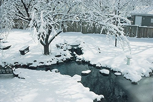 Aquascape 98894 Cold Water Beneficial Bacteria for Pond and Water Features, 32-Ounce