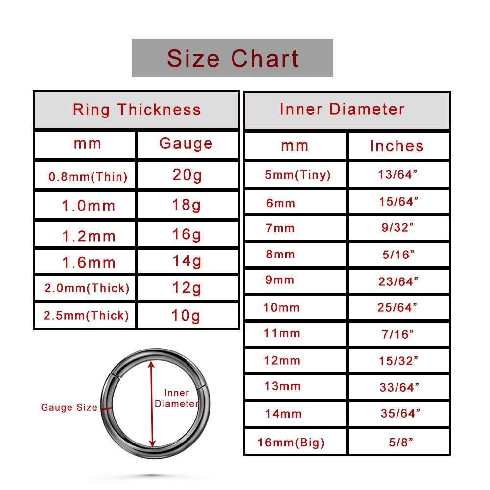 TDEBA 9mm Nose Ring Hoop, Nostril, Septum & Helix Conch Piercing Jewelry, Surgical Steel 20G Nose Ring Hoop - Silver,Clear CZ, 2