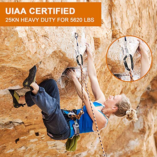 UIAA Certified 25kN-42kN Climbing Carabiners - Favofit Heavy Duty Locking Carabiner Clips with Twist or Screw Lock - Profe...
