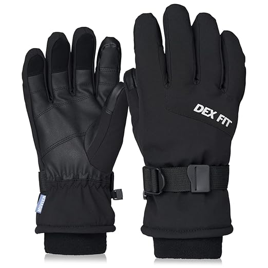 DEX FIT Coldproof Warm Winter Gloves WG201, Waterproof, Double Thermal Protection for Cold Weather & Outdoor Work, PU Leat...