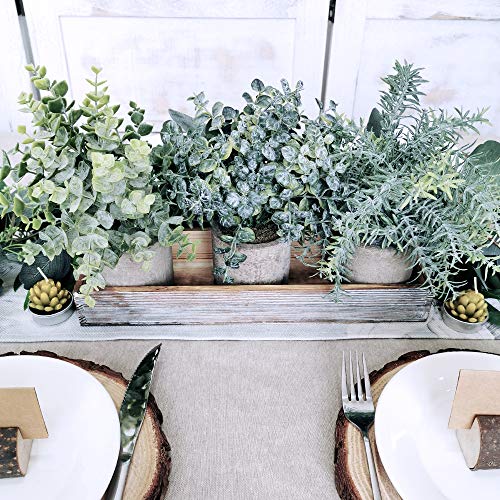 Winlyn Set of 3 Mini Potted Artificial Eucalyptus Plants Faux Rosemary Plant Assortment with Wood Planter Box for Indoor O...