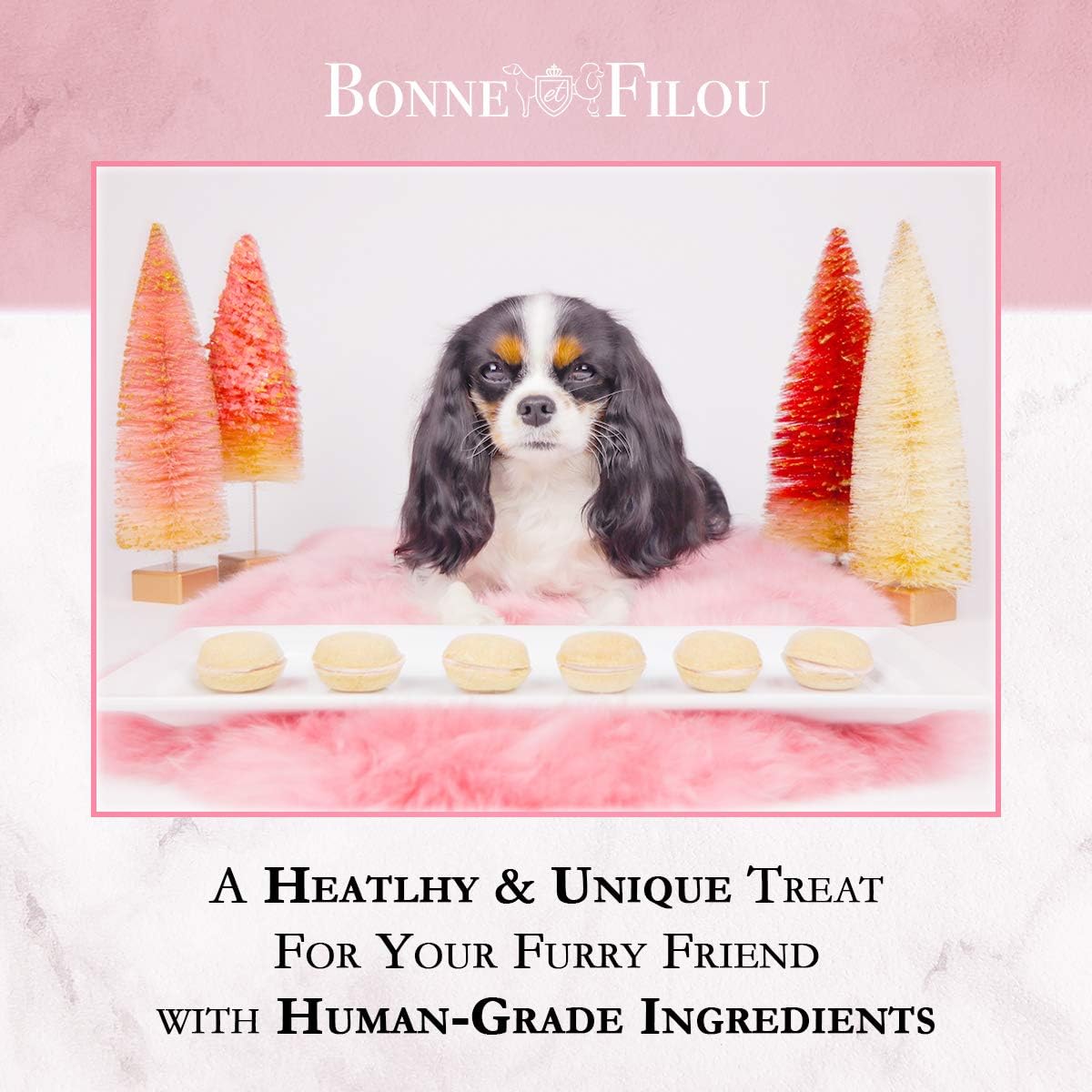 Bonne et Filou Dog Treats Strawberry Cupcakes, Dog Birthday Gift for Medium to Large Breed – Gourmet Macaron Cakes, Healthy & Delicious Human Grade Snacks – 6 Count