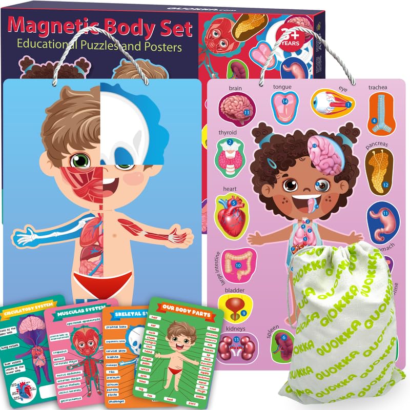 QUOKKA Magnetic Puzzles for Kids – Montessori Puzzles for Toddlers 3-5 – Preschool Game Learning Human Body Parts Anatomy Skeleton – Educational Toys for Boy & Girl