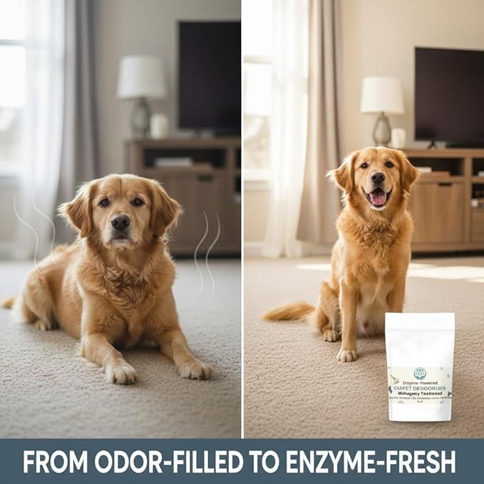 Enzyme-Powered Carpet Deodorizer (Powder) - Mahogany Teakwood | Natural Pet Odor Eliminator | Bio-Enzymatic Formula, Premium Performance, Eco Friendly | 16 oz