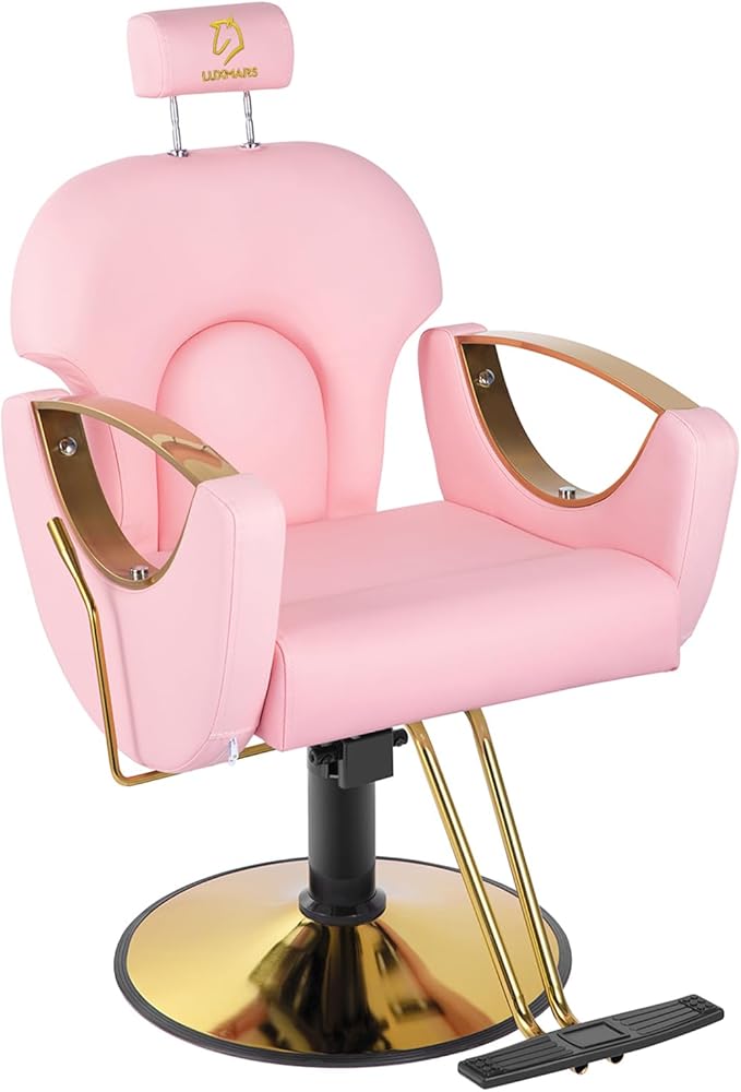 Barber Chair Salon Chair 360 Degrees Rolling Swivel Barber Chairs Hydraulic Hair Chair Capacity Up to 330 Lbs All Purpose Beauty Spa Equipment