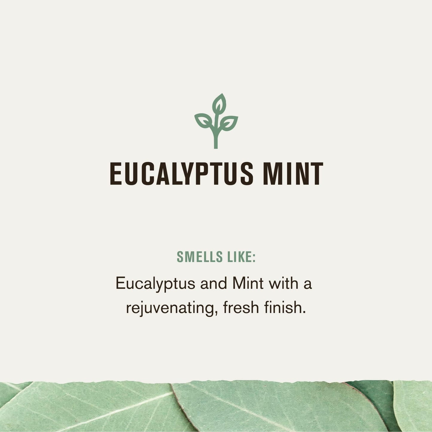 Every Man Jack Eucalyptus Mint Mens Body Wash for All Skin Types - Cleanse, Nourish, and Hydrate Skin with Naturally Derived Ing