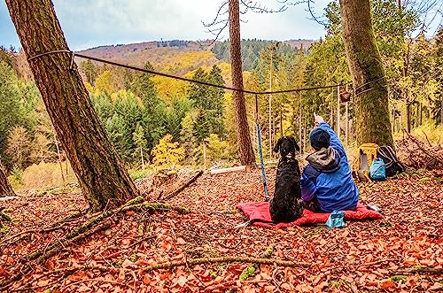 Kurgo Ridgeline Dog Tie Out for Camping,Outdoor Dog Run Zipline,Portable Camp Gear Line,Includes-Carry Pouch,30 ft Tree-Fr...