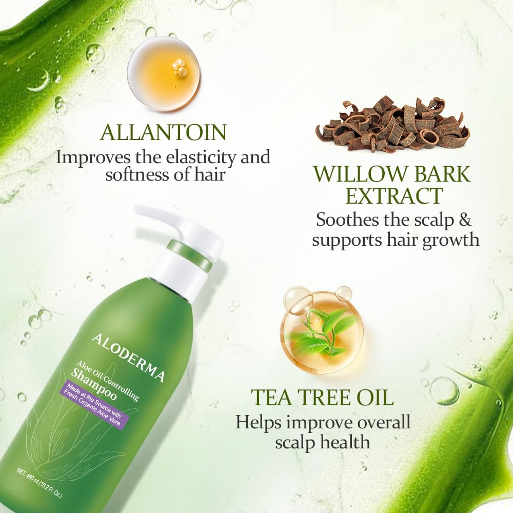 Aloderma Oil Controlling Shampoo Made with Freshly Harvest, Organic Aloe Vera for Oily Hair & Scalp - Infused with Tea Tree Oil