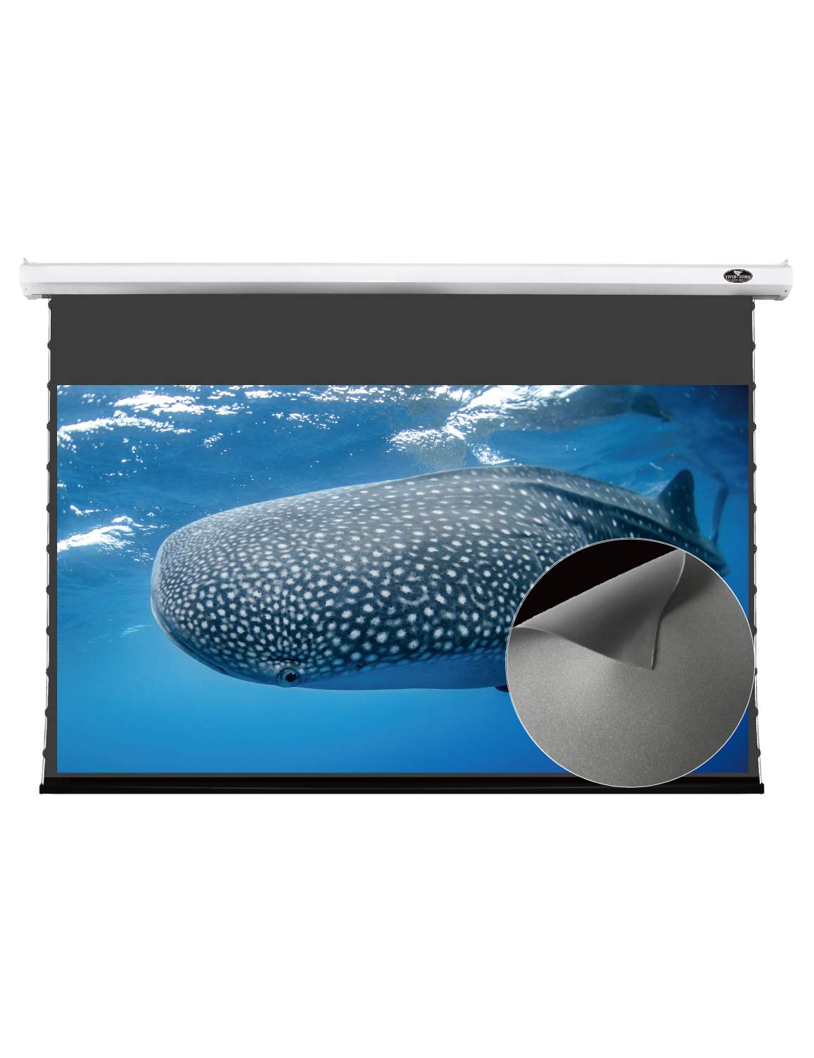 VIVIDSTORM-Office Presentation Tension Screen,White Housing Obsidian Long Focus ALR Motor Tension Drop Down Deluxe Screen,Compatible with Lumen up to 2500ANSI Short Throw Projector,V6JLALR135H