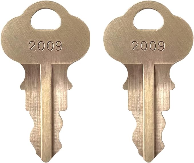 tsingseen life 2 Keys Lockswitch H2009 Soda Fountain Beverage Dispenser PART NUMBER 1032689 OEM PART NUMBER 72500124