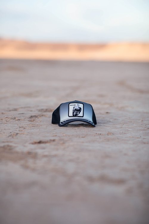 Goorin Bros. The Farm Desert Skies Collection Unisex Trucker Hat, Black (Back Off Buzzard), One Size