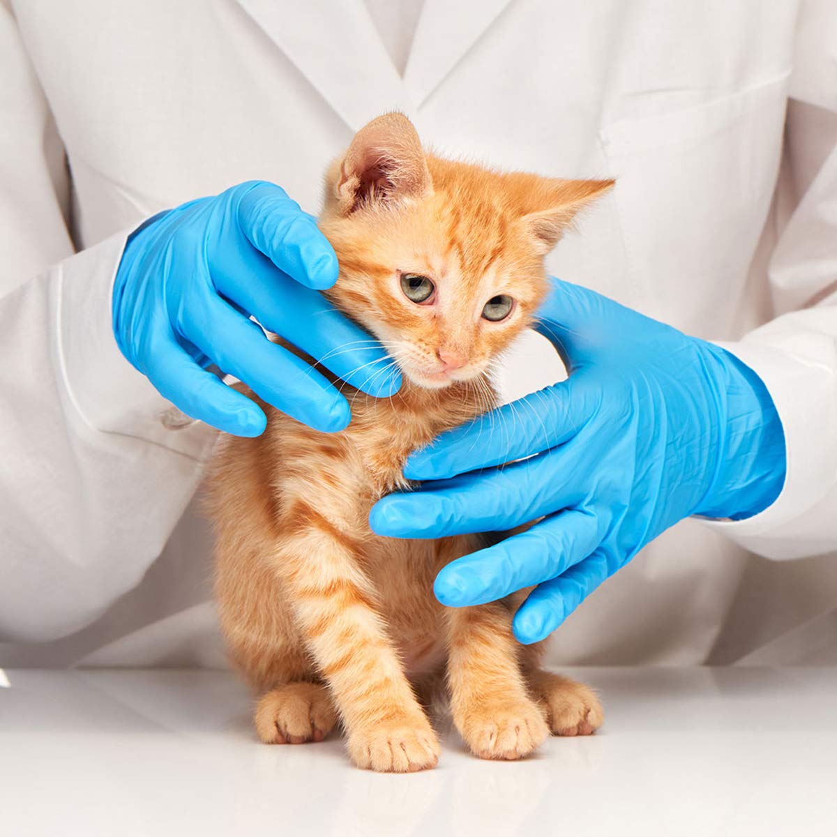 Basic Medical Blue Nitrile Exam Gloves - Latex-Free & Powder-Free - NGPF 7003 (Case of 1,000), Large