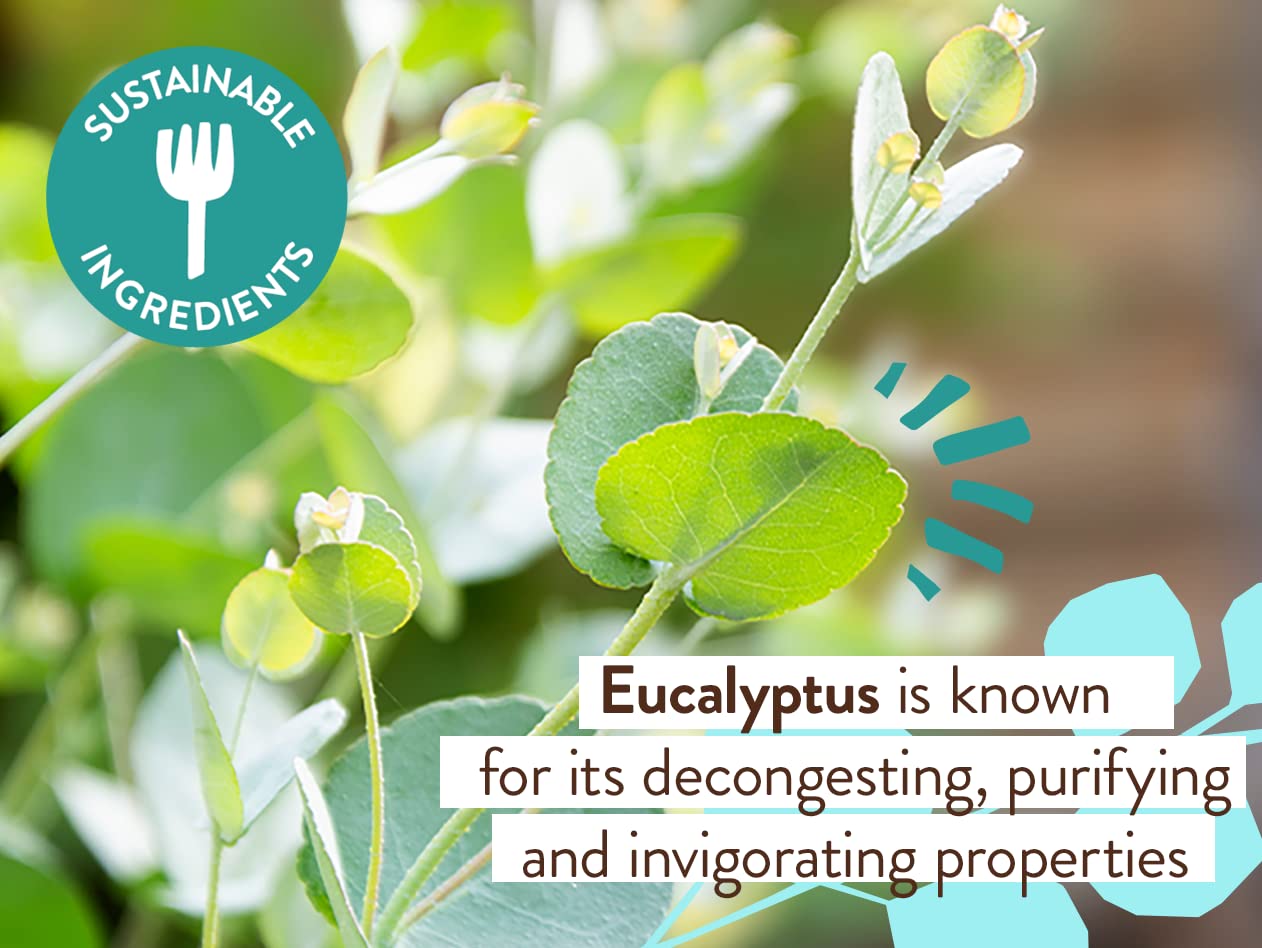 Babo Botanicals Eucalyptus Remedy Shampoo & Wash - Invigorating Eucalyptus & Rosemary Essential Oils -For all Ages - EWG Verifie