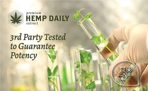 Premium Hemp Daily Triple Intensive Cream - Muscle, Knee, Joint, Back, Neck and Shoulder Topical Rub - Organic | 1.7 Ounces (Original Mint, Pack of 2)