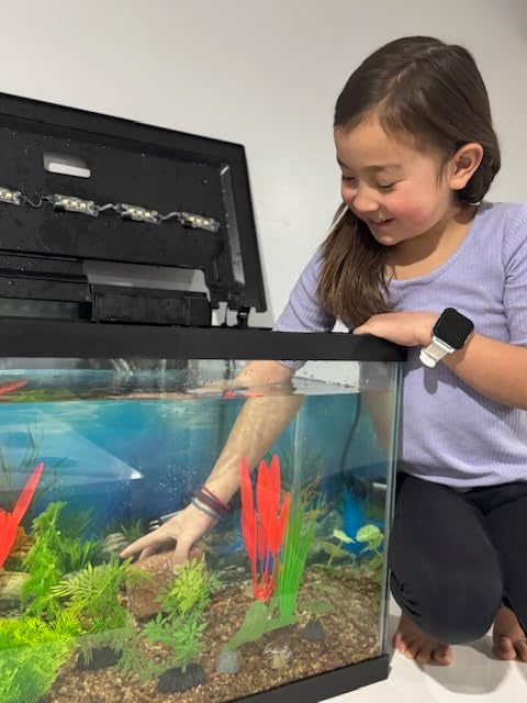 EcoBio-Block Aquarium Stone for Natural Water Clarification and Odor Removal Featuring Beneficial Microlife (Nano)