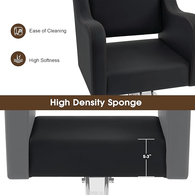 BarberPub Classic Salon Chair for Hair Stylist,Hydraulic Barber Styling Chair,Beauty Salon Spa Equipment 3802 (Black)