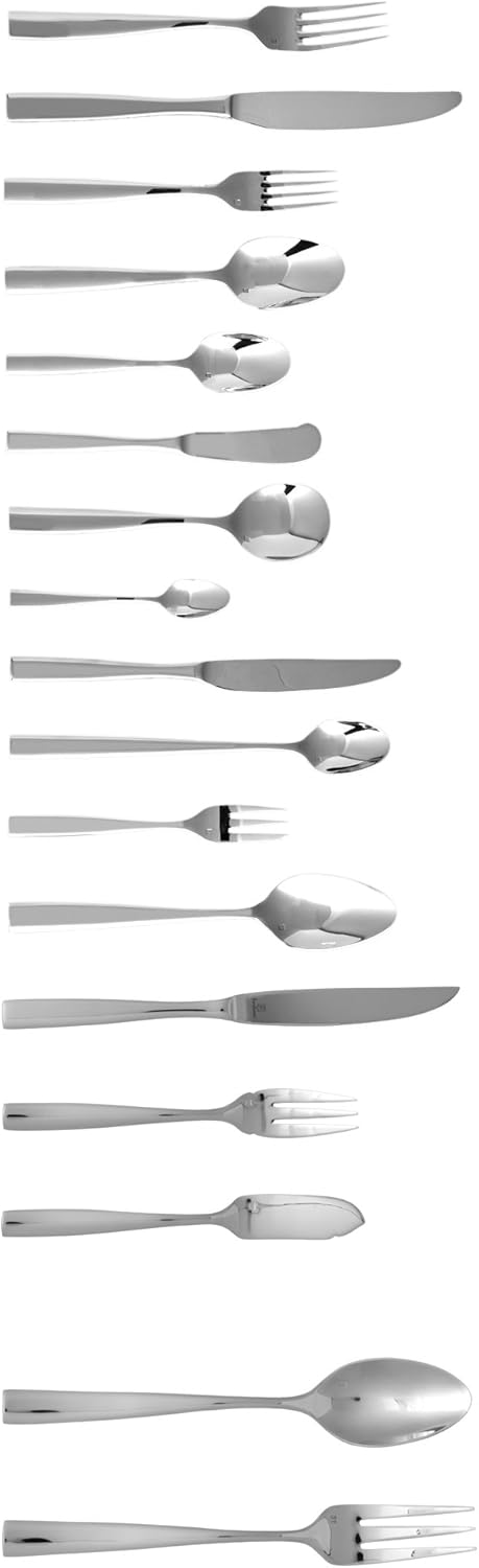 Fortessa Lucca 18/10 Stainless Steel Flatware Serving Spoon, 9.7-Inch