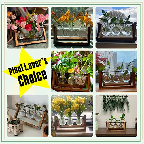 XXXFLOWER Plant Terrarium with Wooden Stand, Air Planter Bulb Glass Vase Metal Swivel Holder Retro Tabletop for Hydroponic...