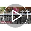 Pack of 10 NWK Cake Stand Set with 3 x Two-Tier and 3 x Three-Tier Cupcake Stands, 4 x Appetizer Trays, for Birthday Baby ...