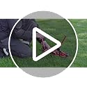 Sportneer Camping Chairs, Lightweight Outdoor Chairs with 2 Side Pockets & Storage Bag, Foldable & Portable Lawn Chairs fo...