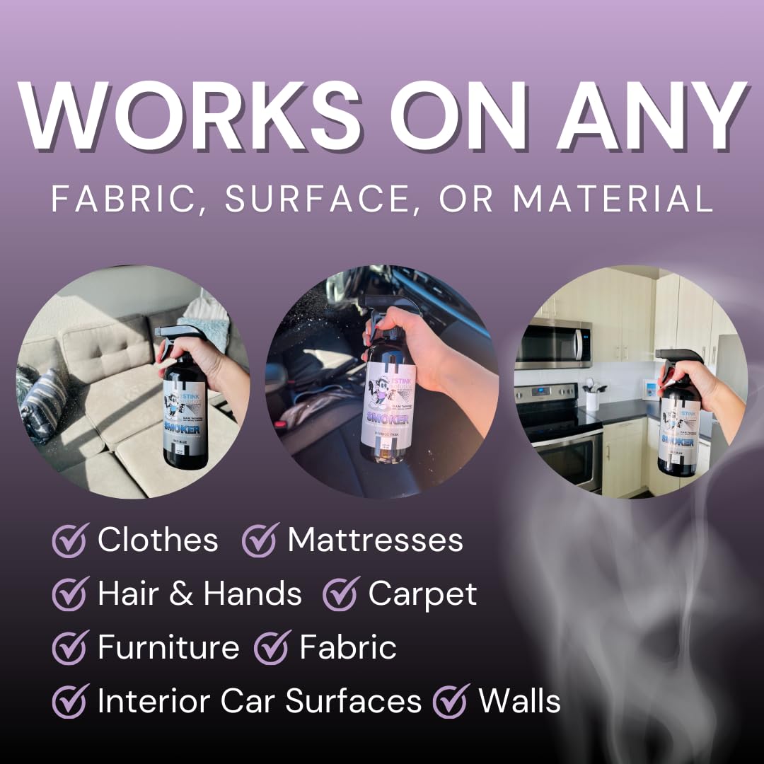 The Stink Solution Smoke Odor Eliminator Spray - Completely Remove Smoke Smell From House, Car, Clothes, Hands, Hair, & More - Best Odor Eliminator For Smoke - Bamboo Teak Fragrance - 2 16 oz Bottles