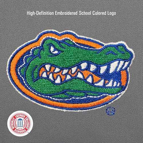 JanSport NCAA Officially Licensed Backpack, Florida Gators, Big Student with Padded 15-Inch Laptop Sleeve, 2 Compartment Computer Bag with Bottle Pocket & Haul Handle, Book Rucksack, Graphite Grey