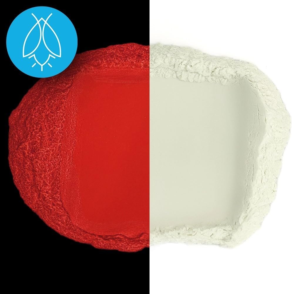 Glow in The Dark Pigment Powder - Neutral and Fluorescent Color for Art Painting, Fine Art, Nail Art Paint, and DIY Crafts - Long Lasting 10+ Color Options - Neutral Red - (1 Kilogram)