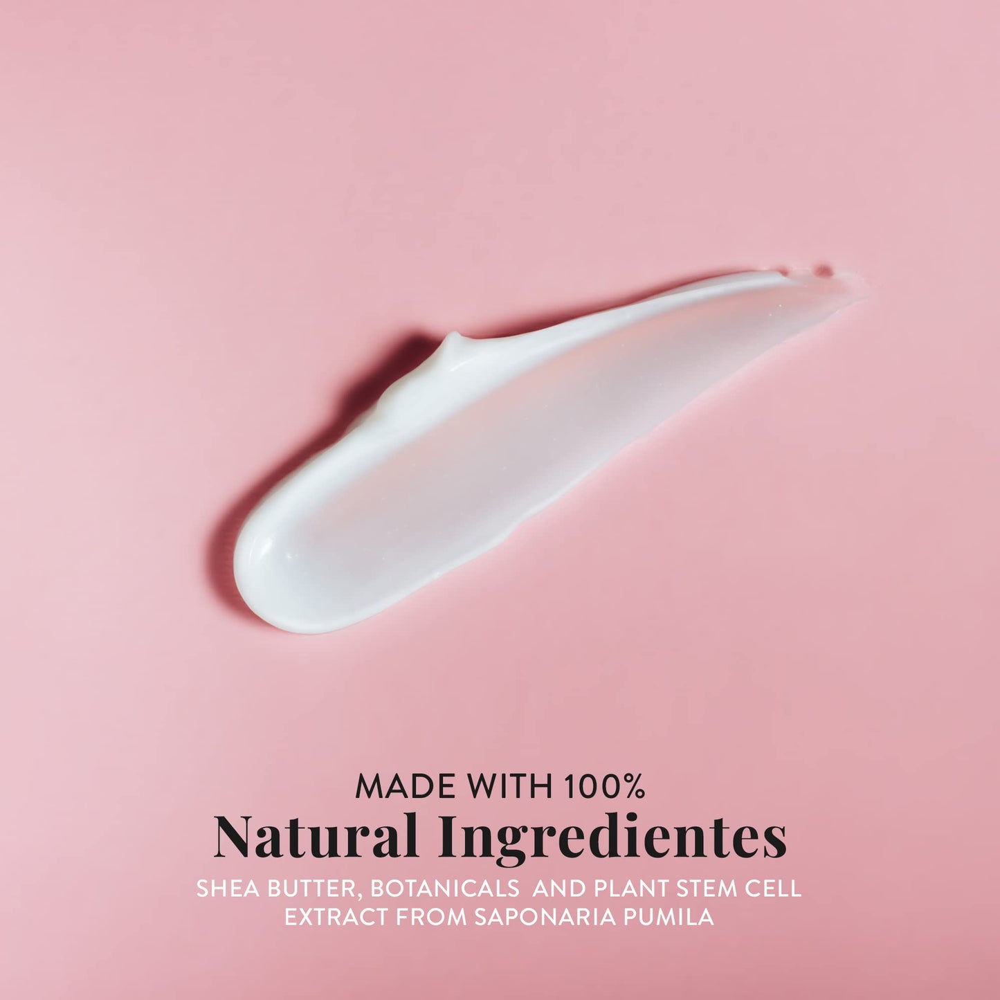 Berayouth Anti-Aging Cream, Facial Moisturizer, With Plant Stem Cells, Helps Reduce Wrinkles, 100% Natural Ingredients, Cruelty