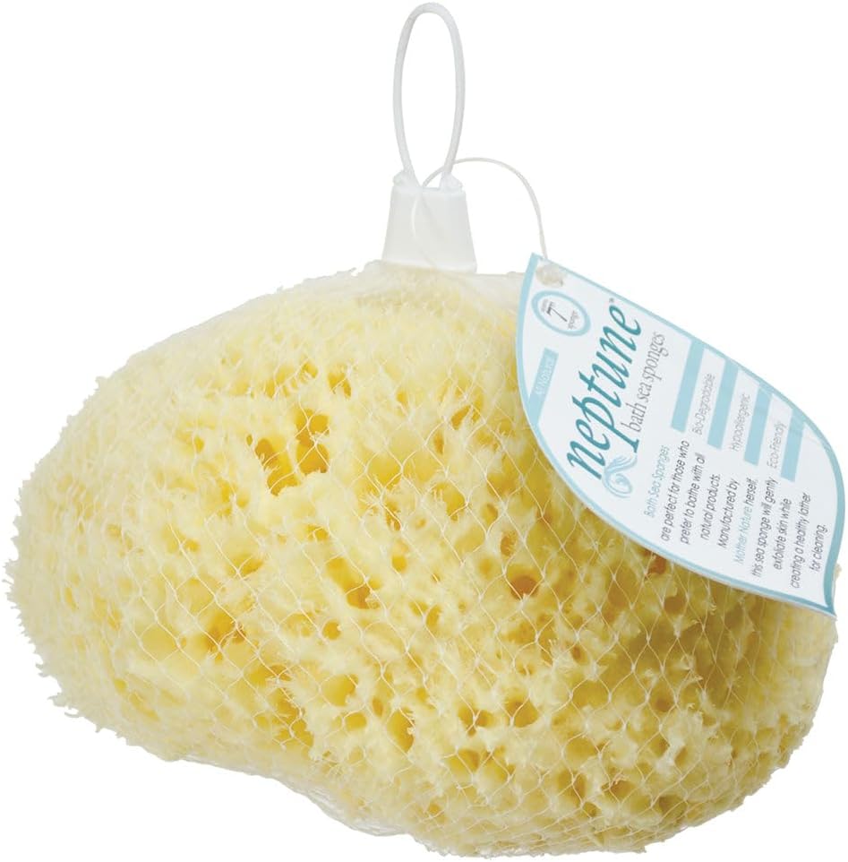 Sea Wool Sponge - All Natural Honeycomb Renewable Sea Sponge, Hand Cut, Jumbo, Approx. 7 Inches