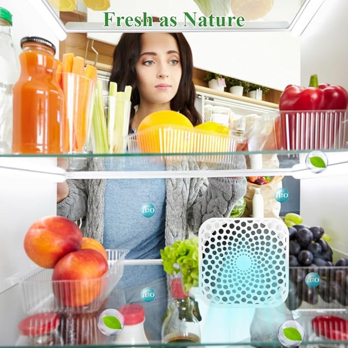 Refrigerator Deodorizer, Fridge Deodorizer Odor Eliminator 99% with10 Years Lifetime, Catalyst Air Purifier for Fridge & Freezer, Room, RV, Car, Closet, Shoe Cabinets and more (2PCS)