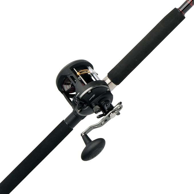 Penn Warfare II Level Wind Conventional Reel and Fishing Rod Combo
