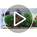 AQQA Magnetic Wave Maker for Aquarium 75-150 Gallon 2110 GPH Water Circulatio Pump Powerhead Fish Tank Wavemaker 360°Rotat...