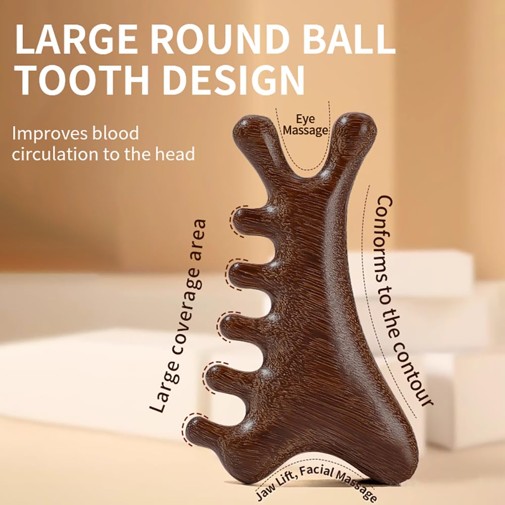 TAIHI Wooden Scalp Massager with Gift Box Wooden Comb Handmade Green Sandalwood Scalp Comb for Gua Sha Head Neck Face Care