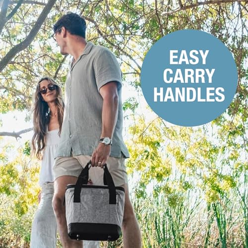 CleverMade Leakproof Collapsible Insulated Cooler Bag, Portable Foldable Soft Side Tote Holds 18/30/50 Cans, Lunch & Cold ...
