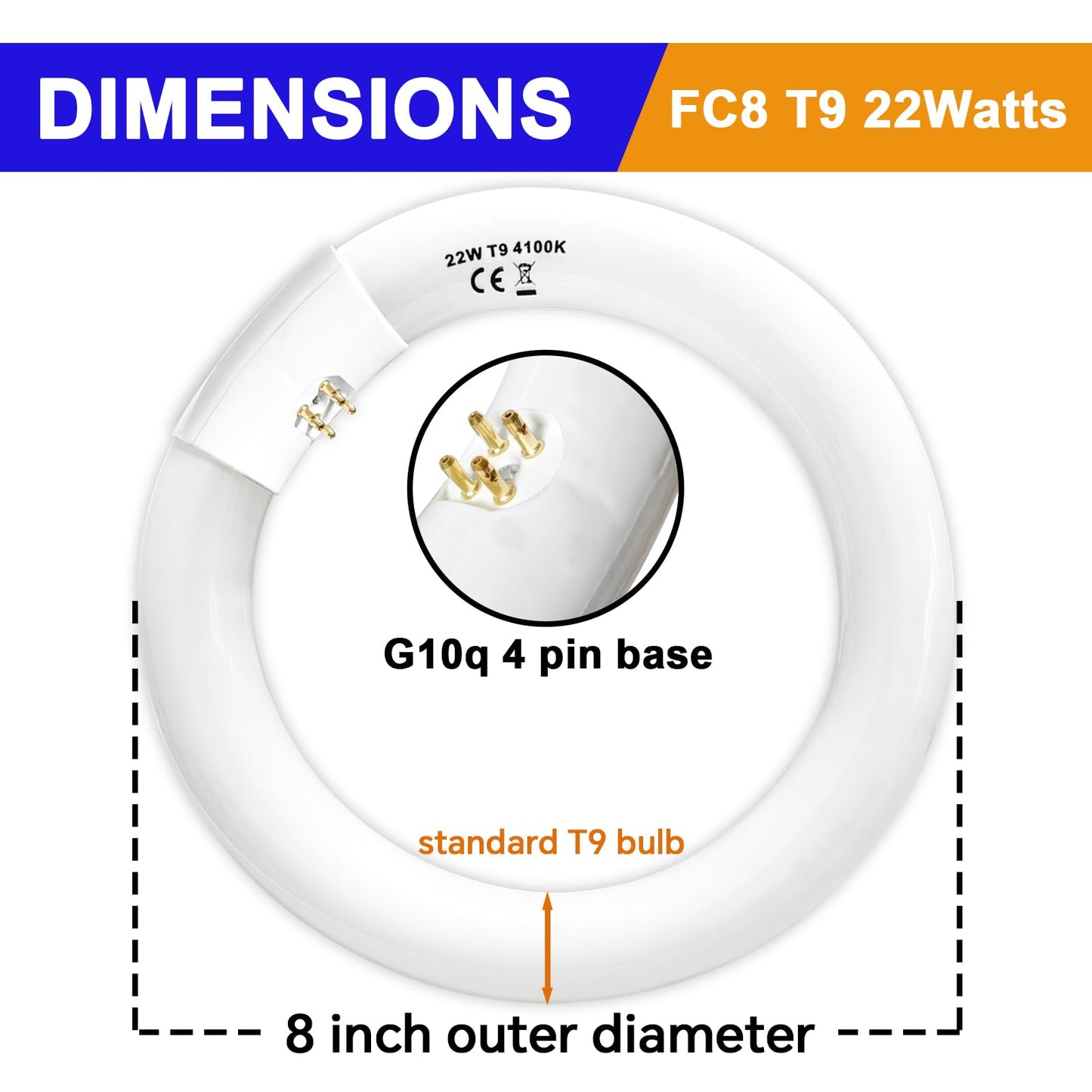 FC8T9/CW 22W and FC12T9/CW 32W Cool White Set, 8 inch T9 22 Watts Circular Light Bulbs, 12 inch 32 Watts Circline Fluorescent Bulb Round Ring Bulb CRI 80, G10q Prong
