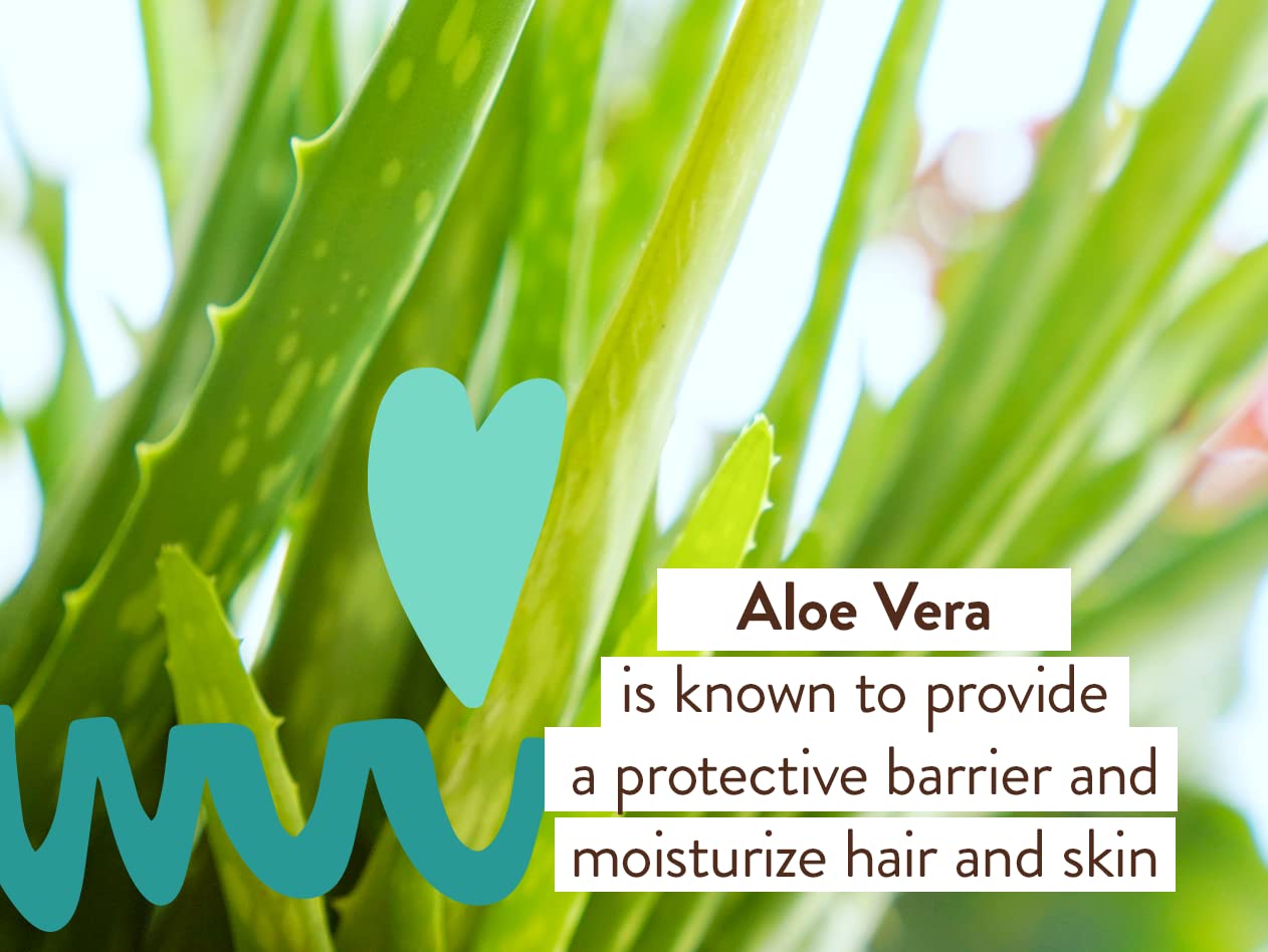 Babo Botanicals Eucalyptus Remedy Shampoo & Wash - Invigorating Eucalyptus & Rosemary Essential Oils -For all Ages - EWG Verifie