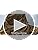 Aonal Military Shemagh Tactical Desert Scarf, 100% Cotton Keffiyeh Neck Head Scarf Wrap for Men Women