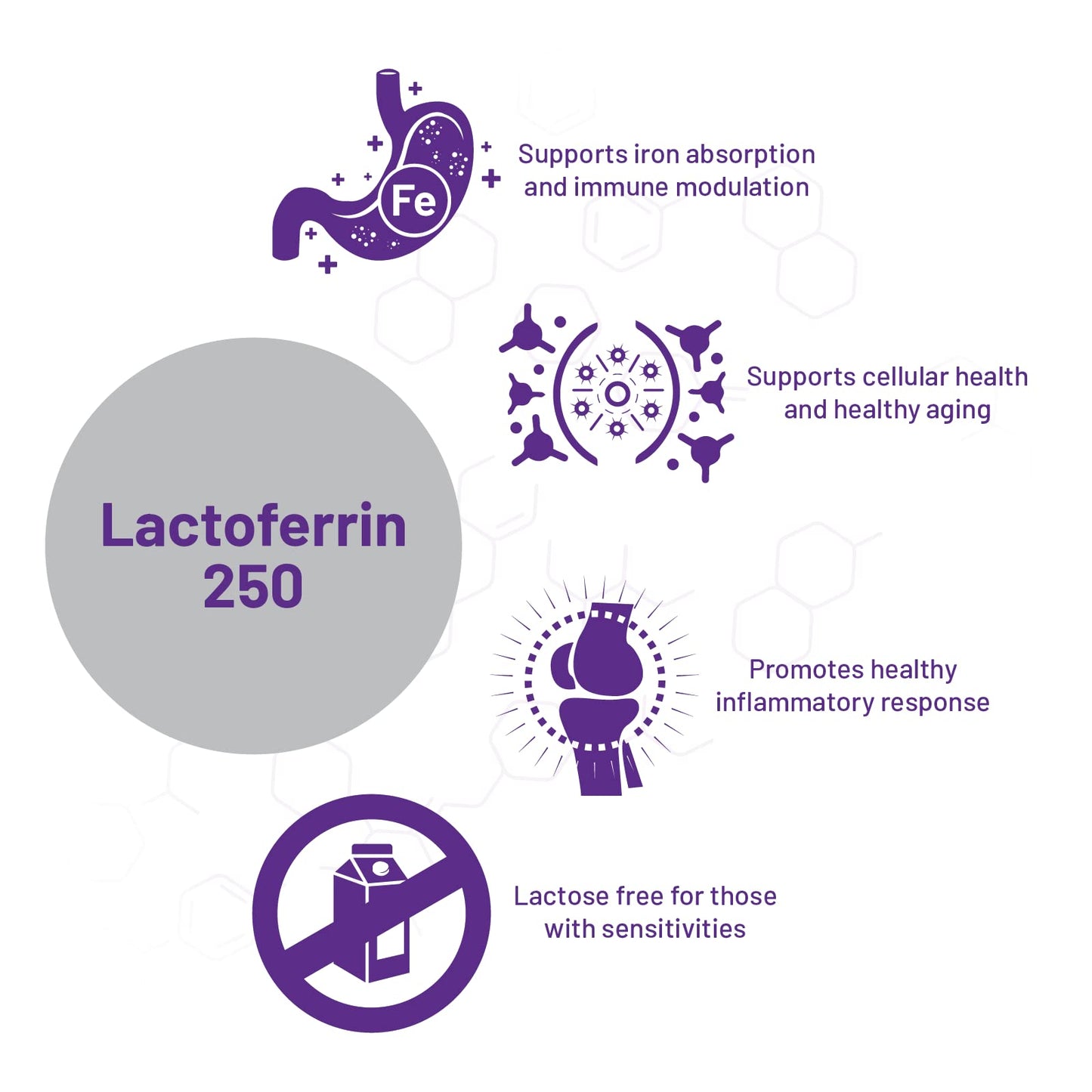 AOR, Lactoferrin - 250, Lactose Free Natural Supplement to Support Iron Absorption and Immune Modulation, 60 Servings (60 Capsules)